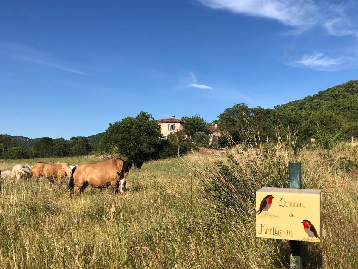 Bed and Breakfast Domaine De Montbarri La Tour-sur-Orb Exterior foto